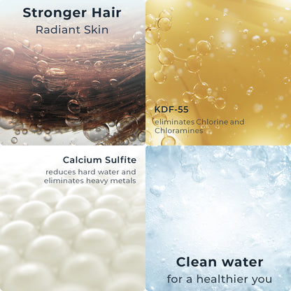 Ryamen Flitered Rain Shower Head (Black/White/Brushed Nickle)